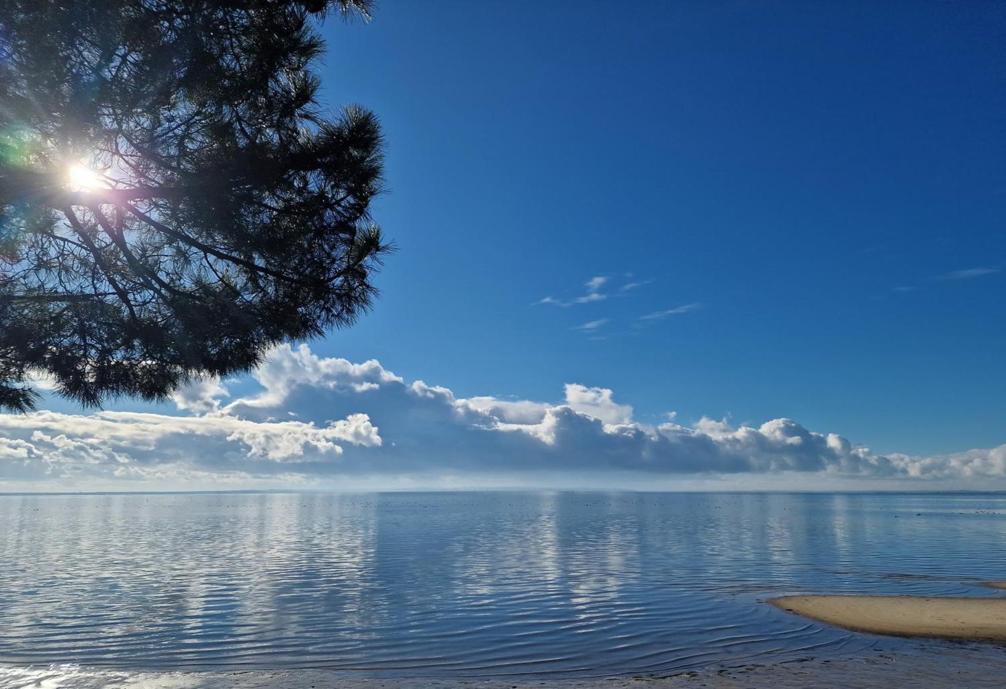 Villa Petit-Pere - A 400M De La Plage Taussat-les-Bains Εξωτερικό φωτογραφία